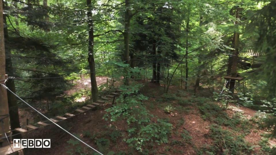 L'hebdo : les activités estivales