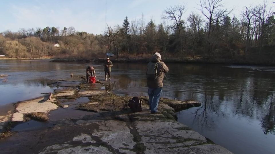 L'Hebdo : ouverture de la pêche à la truite
