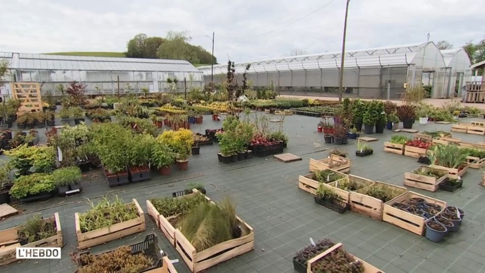 L'hebdo aux serres municipales d'Epinal