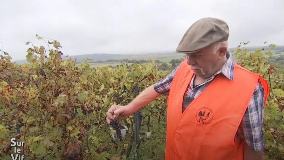 Sur le vif du 3 octobre