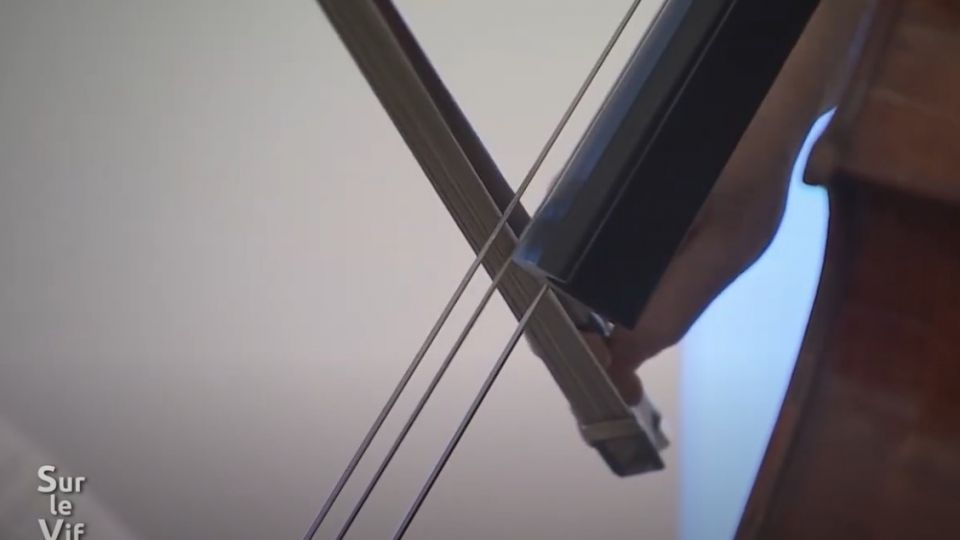 Sur le vif du 5 décembre