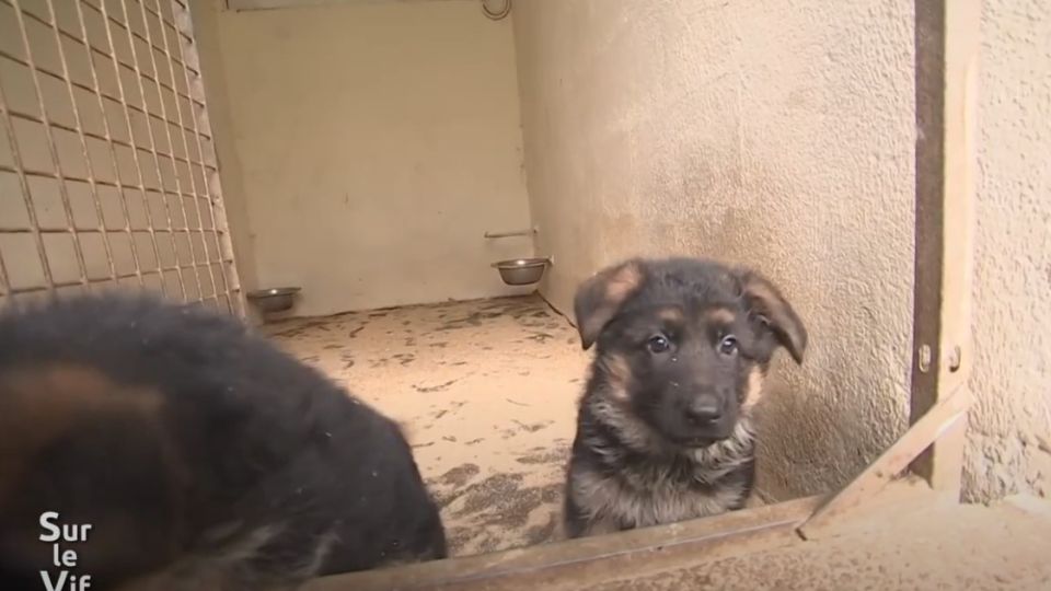 Sur le vif du 25 septembre