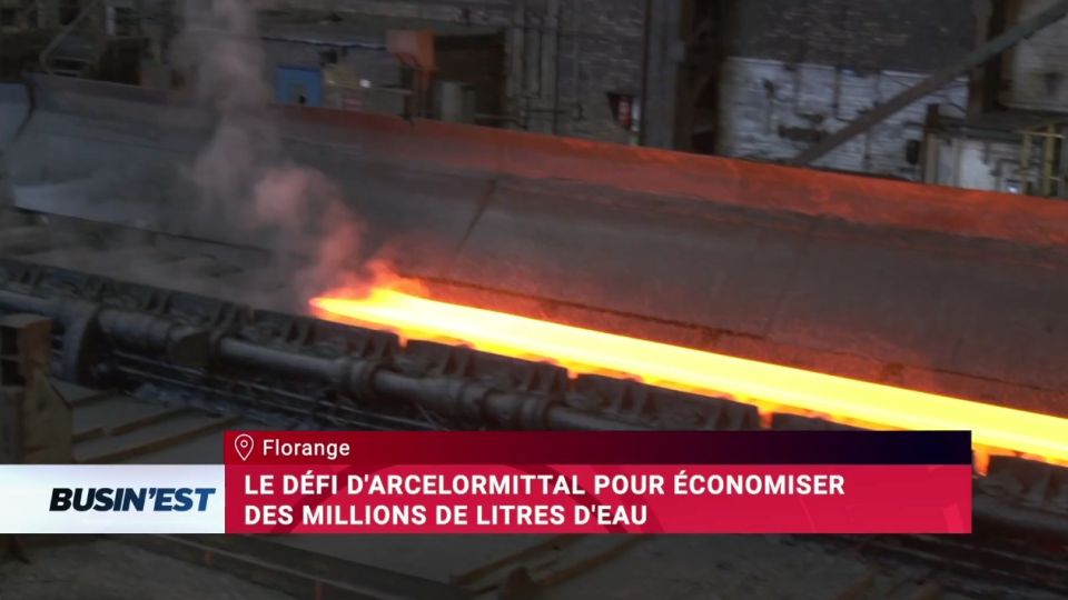 Busin'Est le reportage du 8 juillet