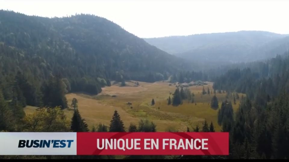 Busin'Est le reportage du 8 octobre