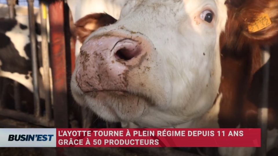 Busin'Est le reportage du 12 mars 