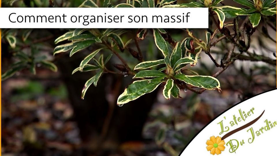 Atelier du jardin : Comment organiser son massif