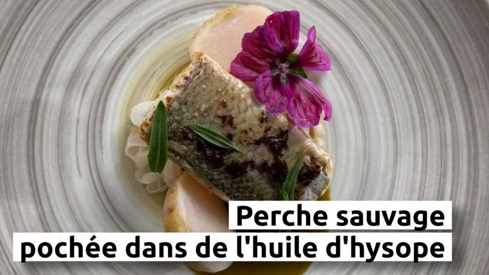 A feu doux : Le Haut Jardin #03 Perche sauvage pochée dans de l'huile d'hysope