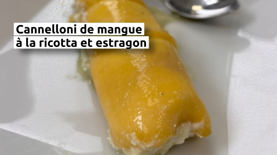 A feu doux : Daily des Saveurs #5 Cannelloni de mangue à la ricotta et estragon