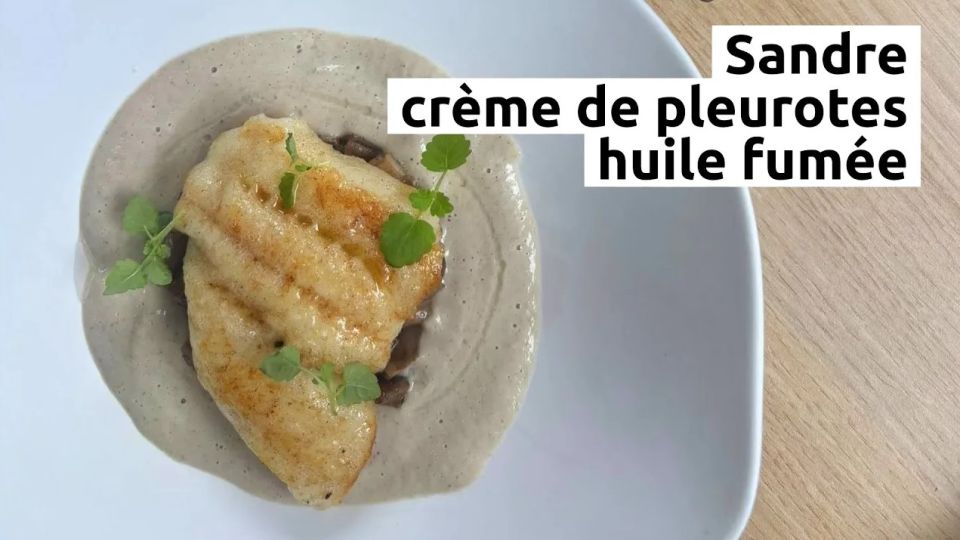 A feu doux : La Mangeoire #2 Sandre, crème de pleurotes et huile fumée