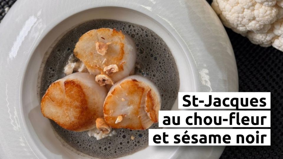 A feu doux : Les Roses #3 St-Jacques au chou-fleur et sésame noir