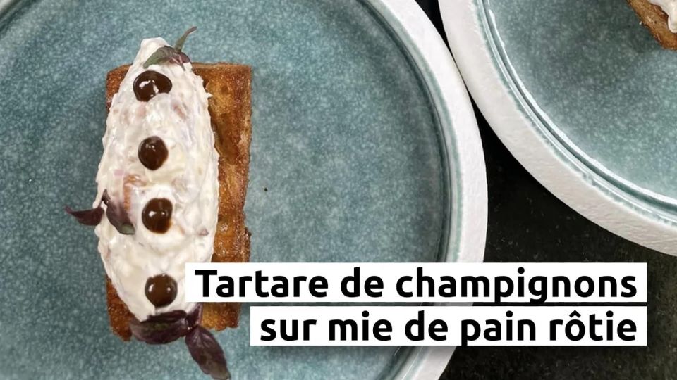 A feu doux : La cour des sens #01 Tartare de champignons sur mie de pain rôtie