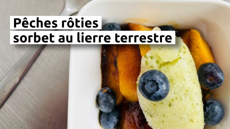 A feu doux : Daily des Saveurs #5 Pêches rôties, sorbet au lierre terrestre