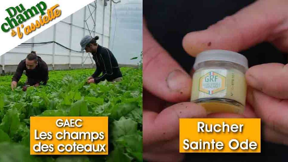 Du champ à l'assiette : Au GAEC les champs des coteaux et au Rucher Sainte Ode