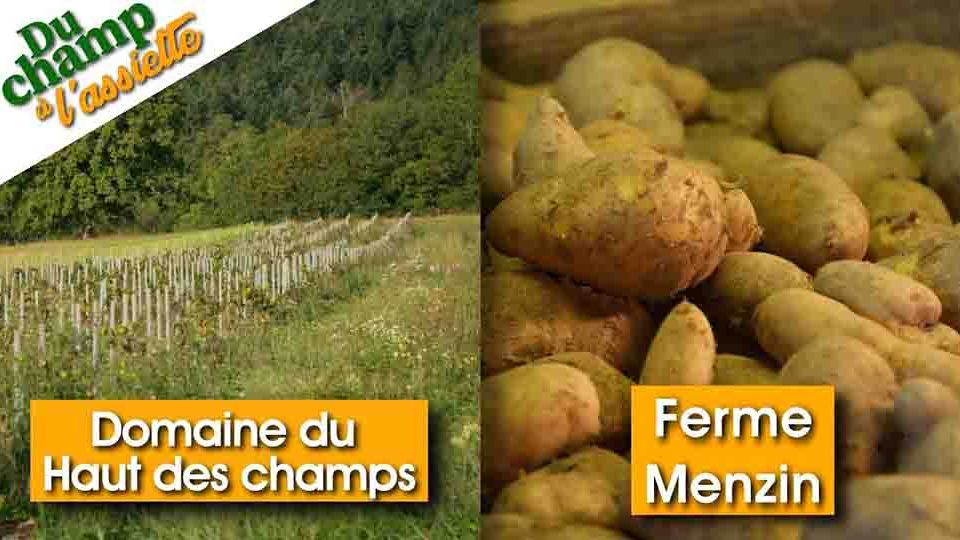 Du Champ à l'assiette : Domaine du Haut des champs & Ferme Menzin
