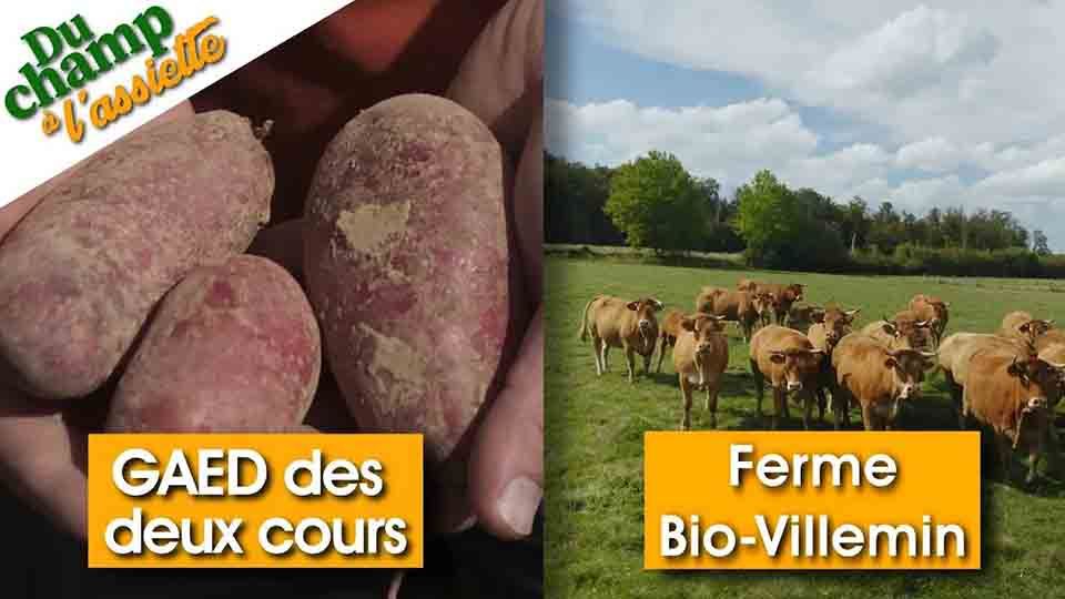 Du Champ à l'assiette : au GAEC des deux cours & à la ferme Bio-Villemin