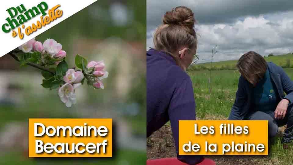 Du champ à l'assiette : au Domaine Beaucerf et avec Les Filles de la Plaine