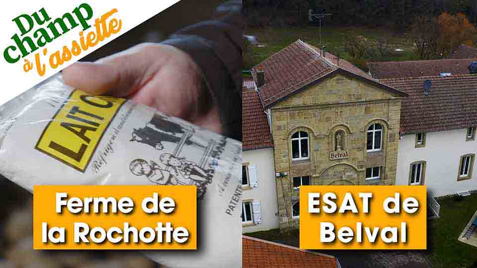 Du Champ à l'assiette : au GAEC de la Rochotte et à l'ESAT de Belval