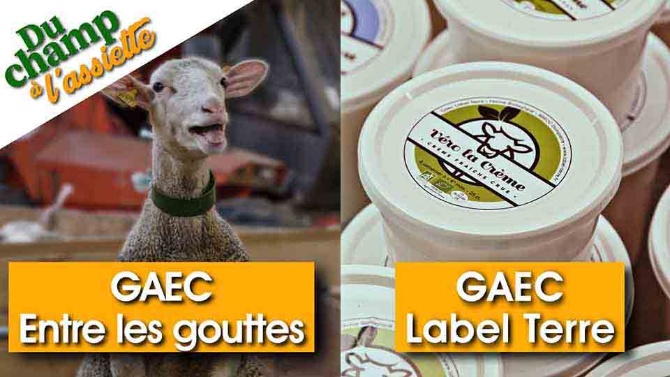 Du champ à l'assiette : au GAEC Entre les gouttes et au GAEC Label Terre