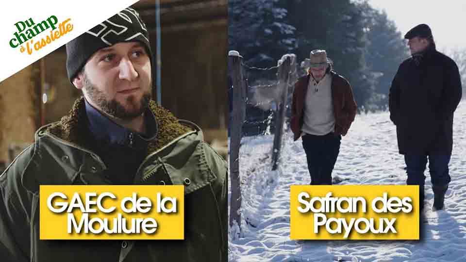 Du champ à l'assiette : au GAEC de la Moulure et à la culture de Safran du Payoux