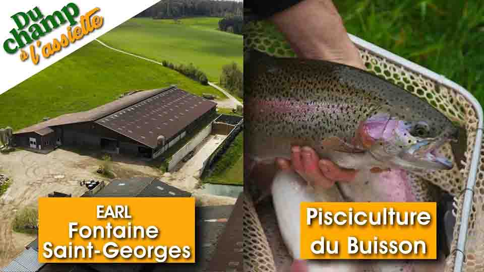 Du Champ à l'assiette : à Ferme de Fontaine Saint-Georges et à la pisciculture du Buisson