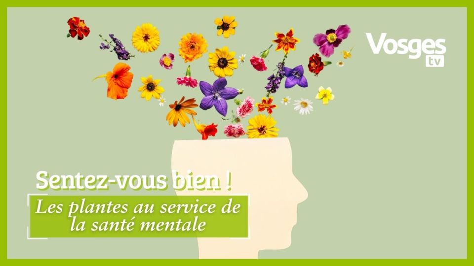Sentez-vous bien ! Les plantes au service de notre santé mentale