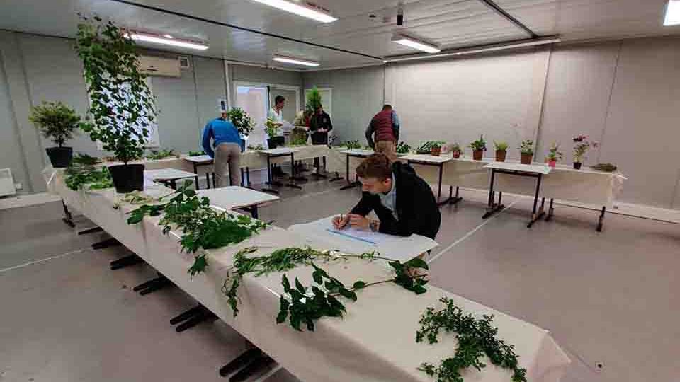 Reconnaissance de végétaux : 5 apprenants de Roville-aux-Chênes qualifiés pour la finale nationale </BR>