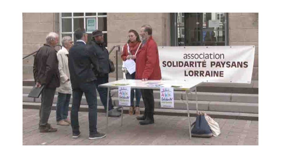 Justice : pour un maintien des procédures agricoles collectives devant le tribunal judiciaire</BR>