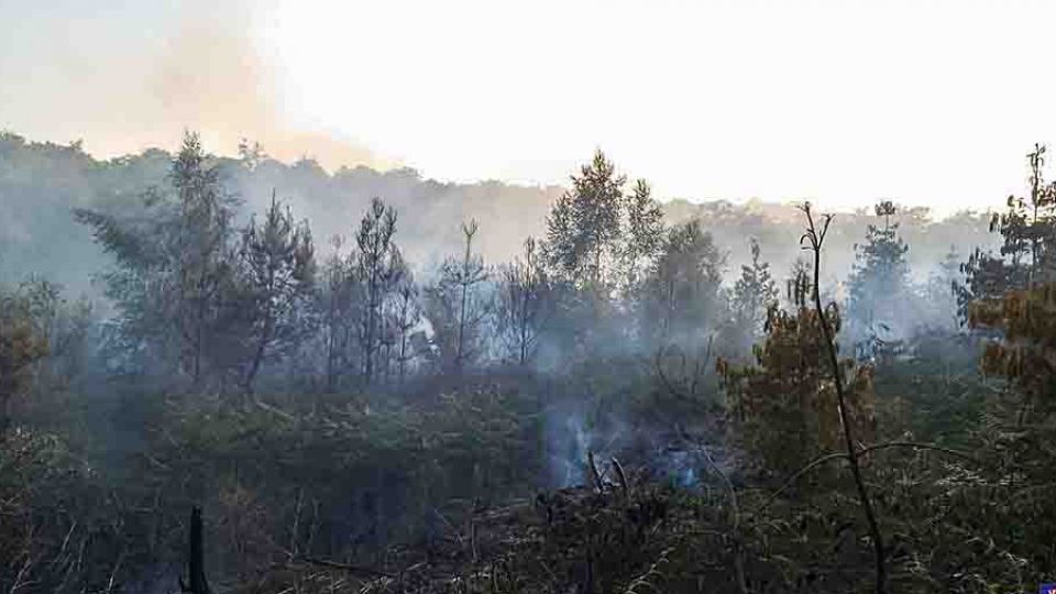 Un incendie détruit 5 hectares de forêt à Saint-Baslemont </BR>