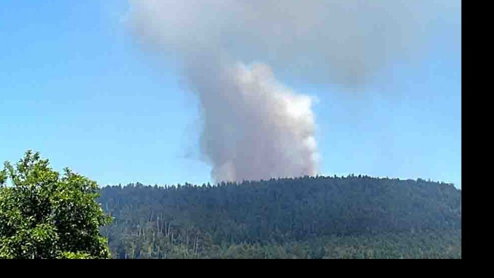 Important feu de forêt en cours dans le secteur de Brouvelieures</BR>