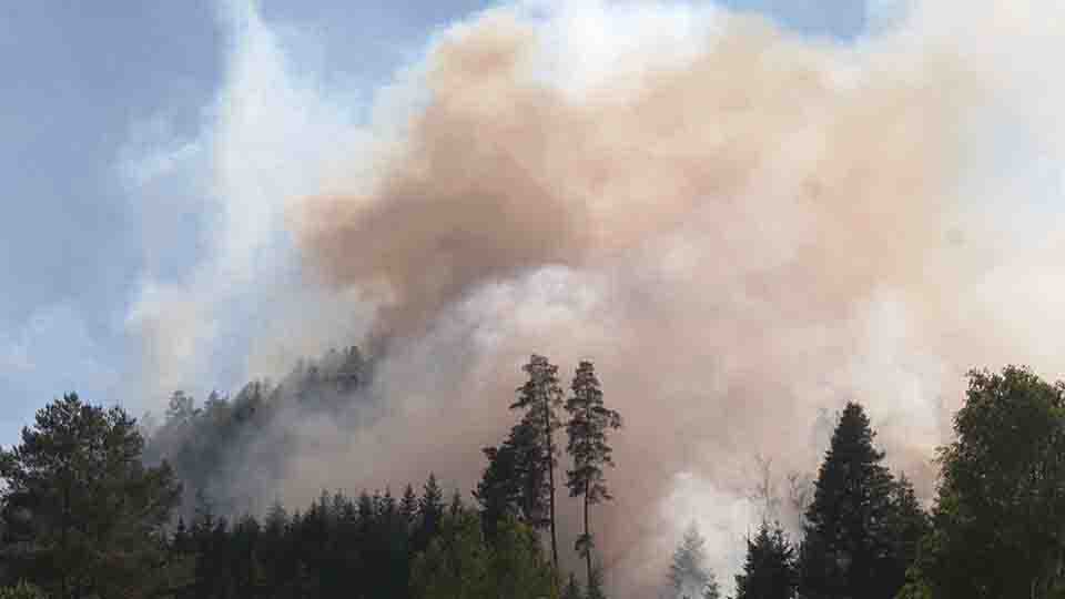 Feu de forêt à Bois-de-Champ : quel impact sur la qualité de l'air ? </BR>