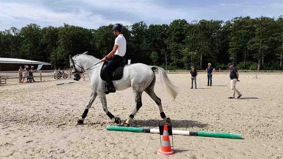 À Vittel, chevaux et cavaliers se préparent pour le concours complet d'équitation </BR>