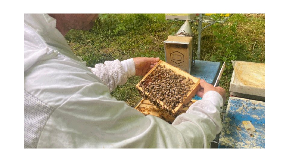 La saison apicole de 2024 se prépare dès à présent</BR>