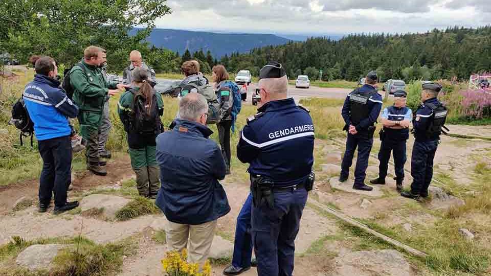 170 litres de myrtilles saisis la semaine dernière au Tanet-Gazon-du-Faing : les contrôles se poursuivent </BR>
