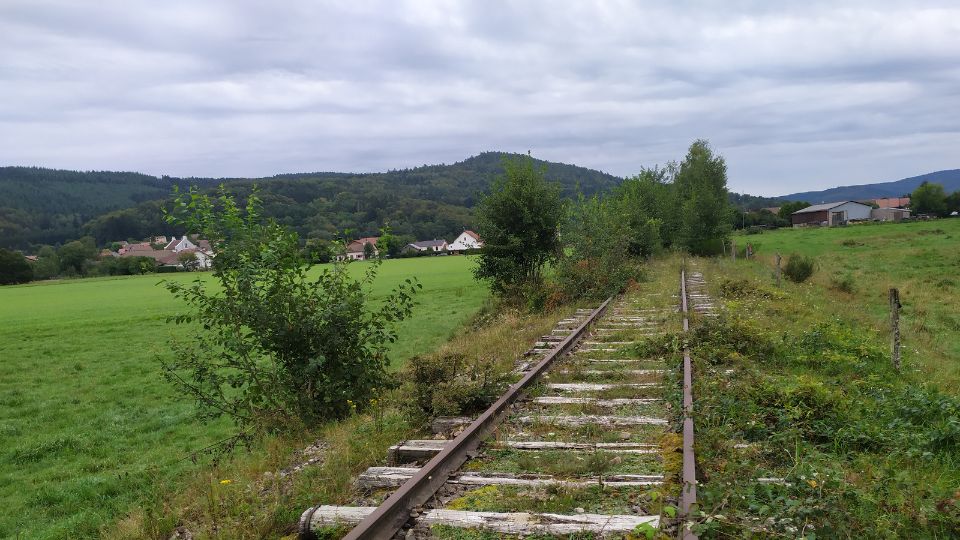 La voie verte de la Vologne en perspective