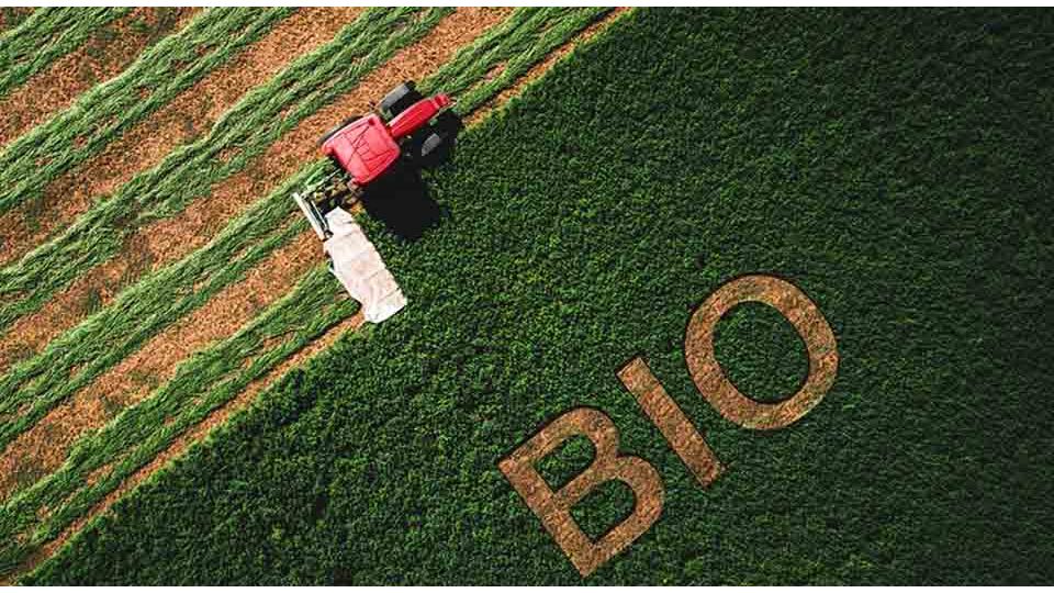 Aide aux exploitations biologiques en difficulté : Prolongation du délai de dépôt des dossiers