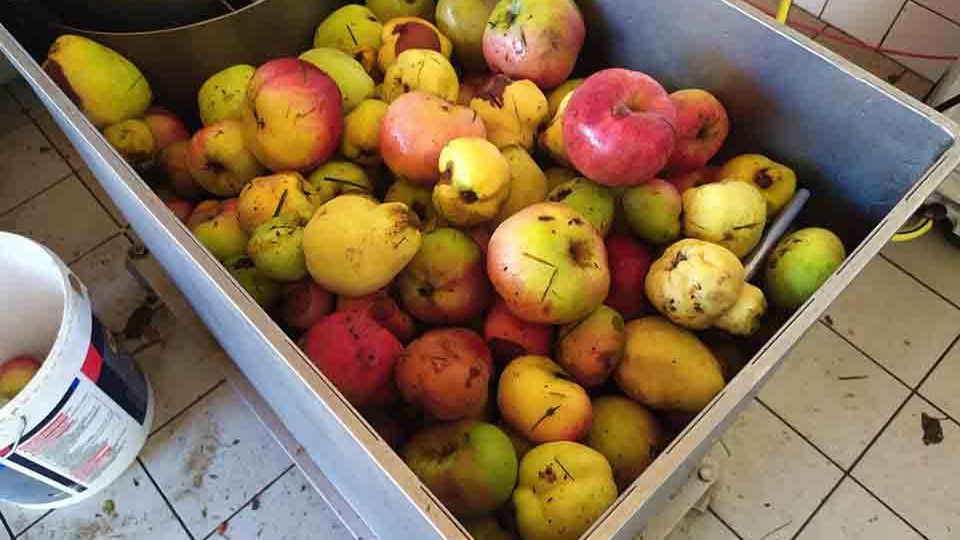 Petite saison pour La Costelle