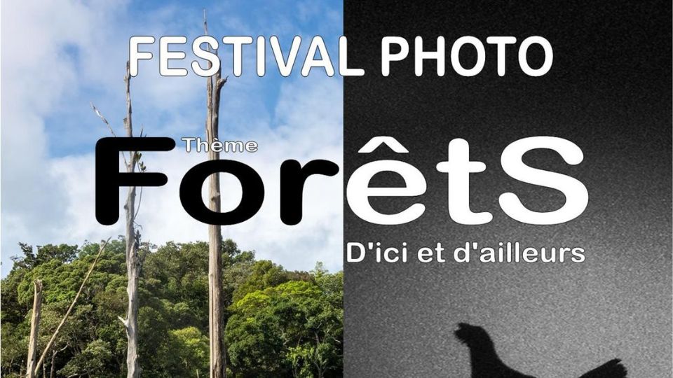 Une conférence débat sur les éoliennes au festival photo de Contrexéville