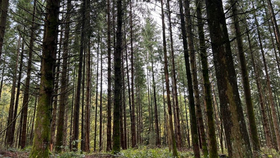 Aides au renouvellement : le FA3R fête ses dix ans