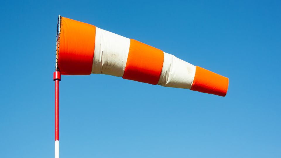 Rafales de vent : fermeture des parcs et jardins à Epinal