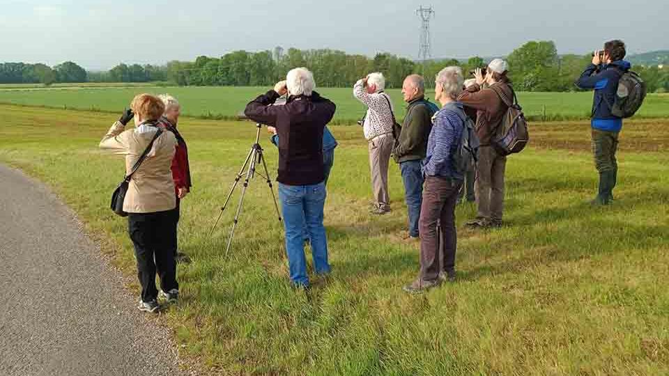 L'association Oiseaux-nature organise sa 43ème assemblée générale à Le Tholy ce dimanche