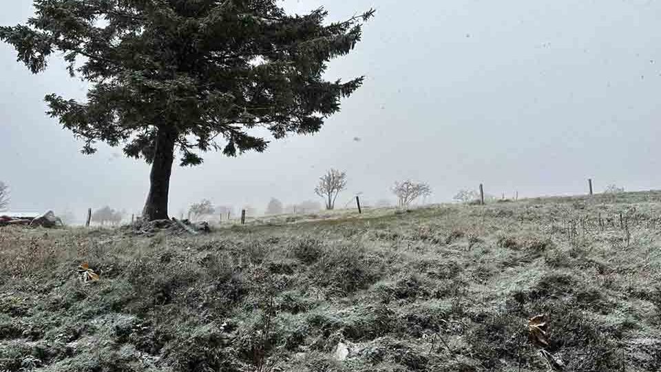 De la neige dans le massif des Vosges