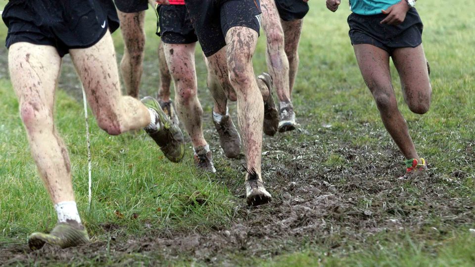 Cross UNSS - 2600 participants à St Nabord le 21 et 22 novembre
