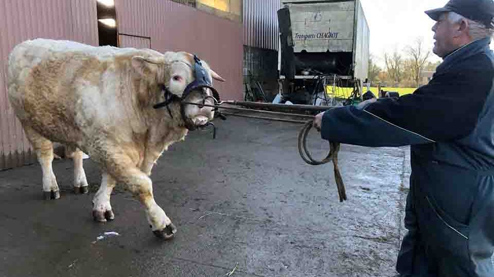 Damblain : Top Chef se prépare pour le salon de l'agriculture à Paris 