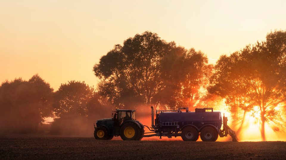 Exploitants agricoles du Grand Est : des revenus plutôt élevés qui masquent de fortes inégalités