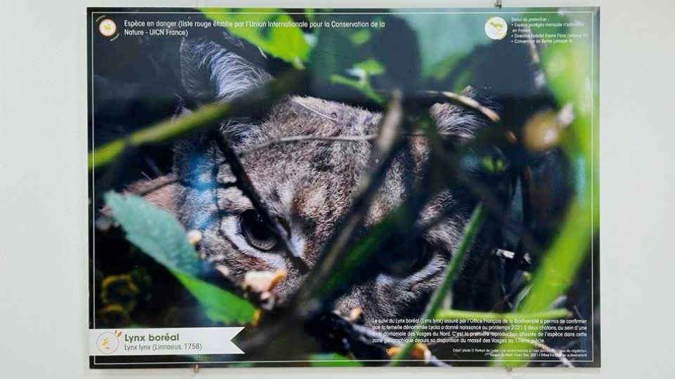 Expo-photos ” Préservons la biodiversité “ à la Maison de l’Habitat et du Territoire