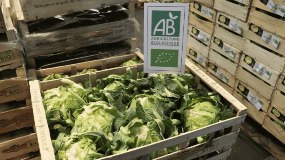 Ouverture du guichet d'aide à l'agriculture bio