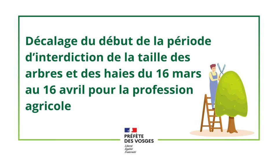 Décalage du début de la période d’interdiction de la taille des arbres et des haies