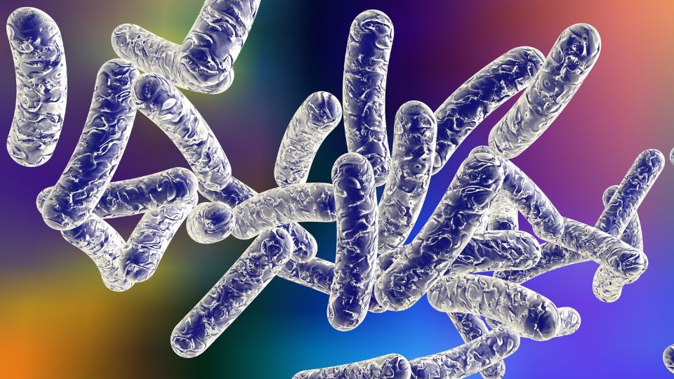 Communiqué de l'ARS et de l'Hôpital suite aux deux cas mortels de légionellose à Mattaincourt