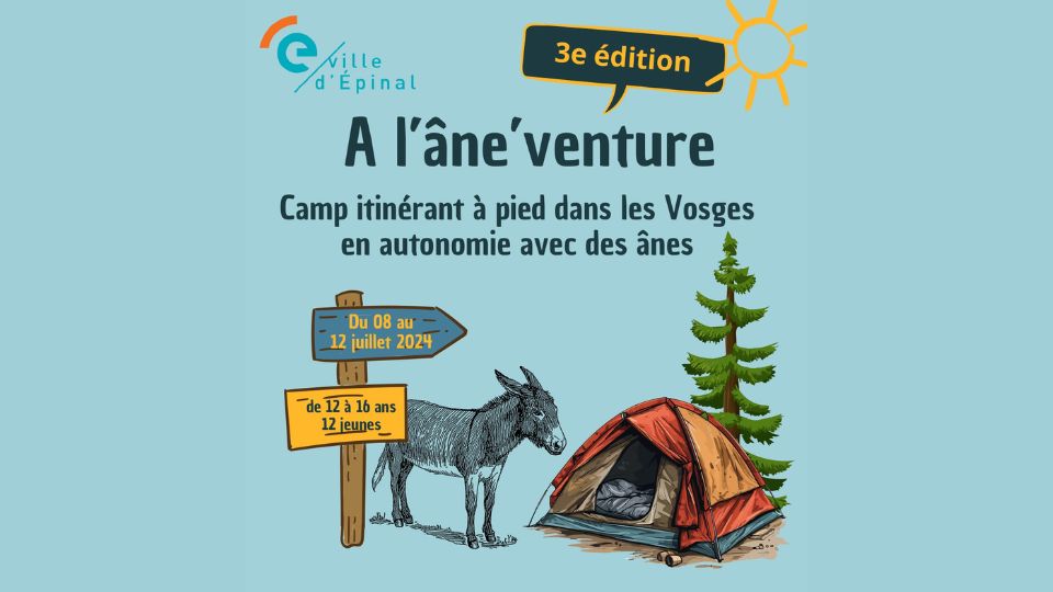 Camp itinérant avec des ânes dans les Vosges