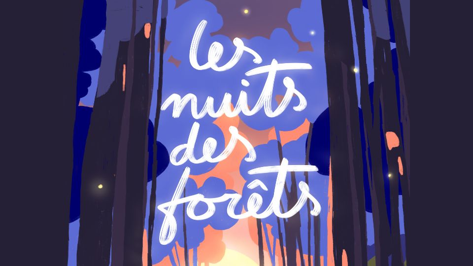 4 forêts vosgiennes s’engagent avec Les Nuits des Forêts !